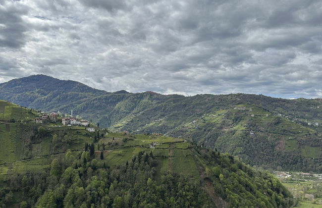 Arte suit bungalov - Photo 57