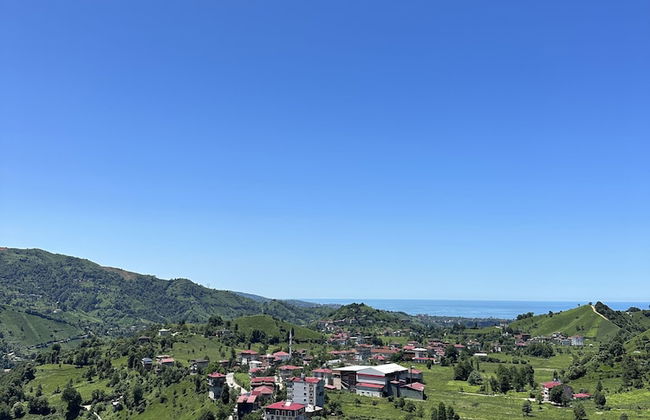 Arte suit bungalov - Photo 55