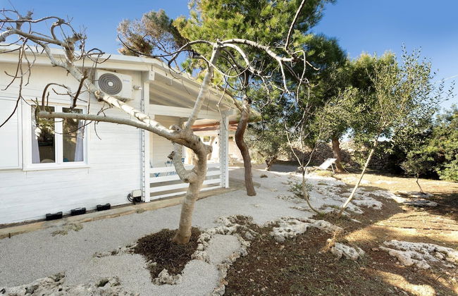 3716 Villetta White by Barbarhouse - Photo 44