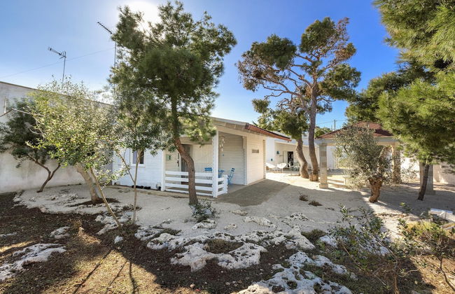 3716 Villetta White by Barbarhouse - Photo 36