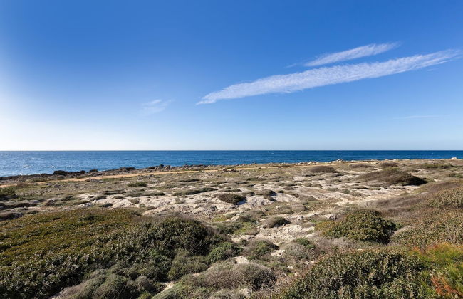 3716 Villetta White by Barbarhouse - Photo 54