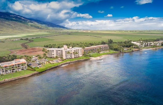 Maalaea Kai 215 1 Bedroom Condo - Foto 53