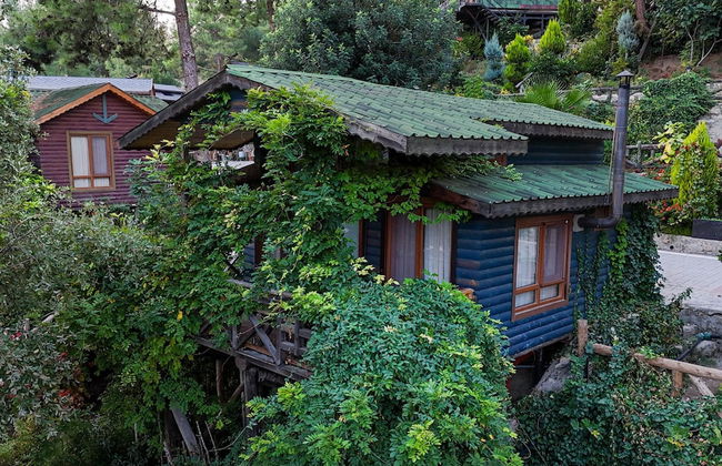 Botanik Gol Evleri - Foto 26