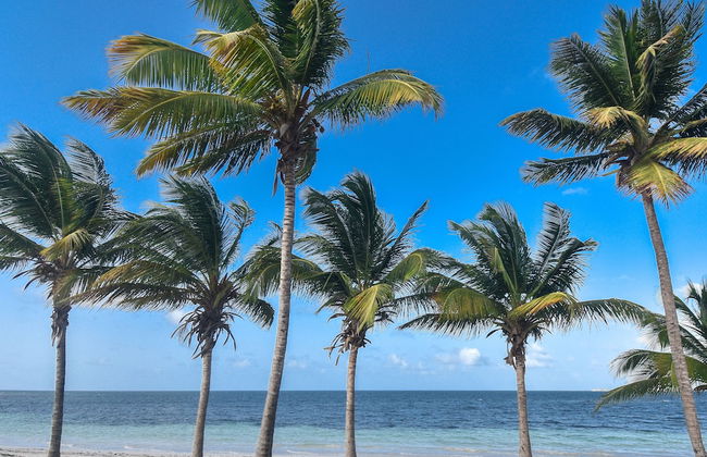 Lord Nelson Hotel & Residences - Foto 42