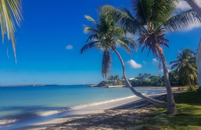 Lord Nelson Hotel & Residences - Foto 43