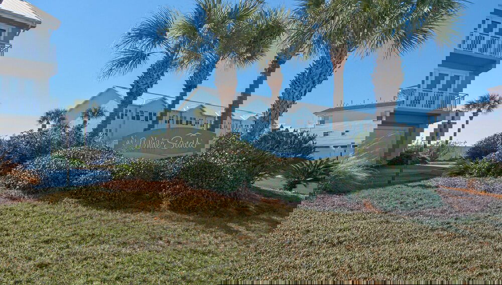 Primary image