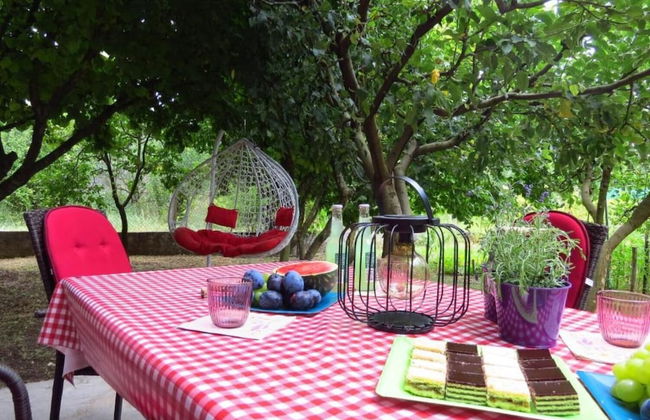 Ivo - Free Parking & BBQ - A1 - Photo 19