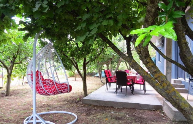 Ivo - Free Parking & BBQ - A1 - Photo 25