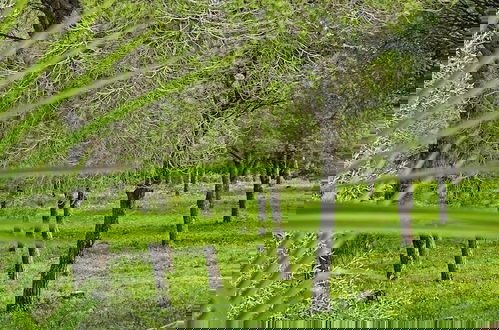 Foto 40 - SUEÑA LA BREÑA