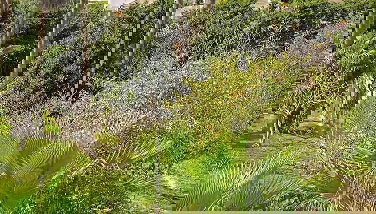 Foto 1 - SUEÑA LA BREÑA