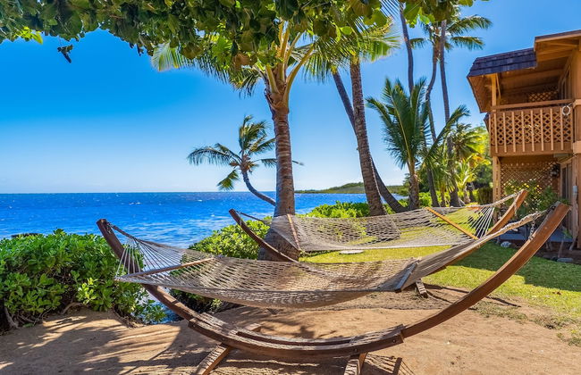 Hotel Molokai - Foto 24