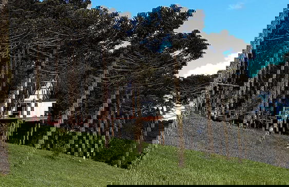 Chalé Diamante Negro - Urubici - SC - Foto 66