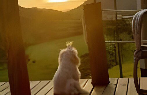 Chalé Diamante Negro - Urubici - SC - Foto 15