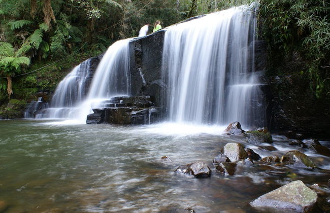 Chalé Diamante Negro - Urubici - SC - Foto 75