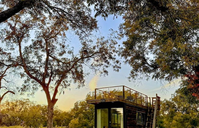 Yellow Blue Elegant Container Tiny House - Foto 50