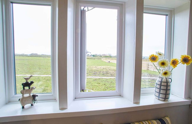 Host Stay Cosy Cottage - Photo 18