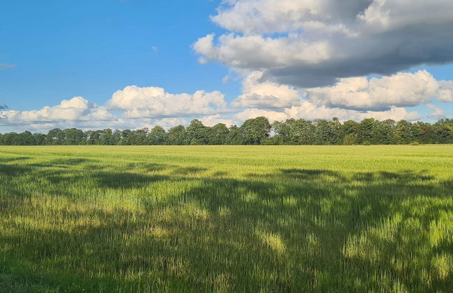 4 Star Holiday Home in Ansager - Photo 22