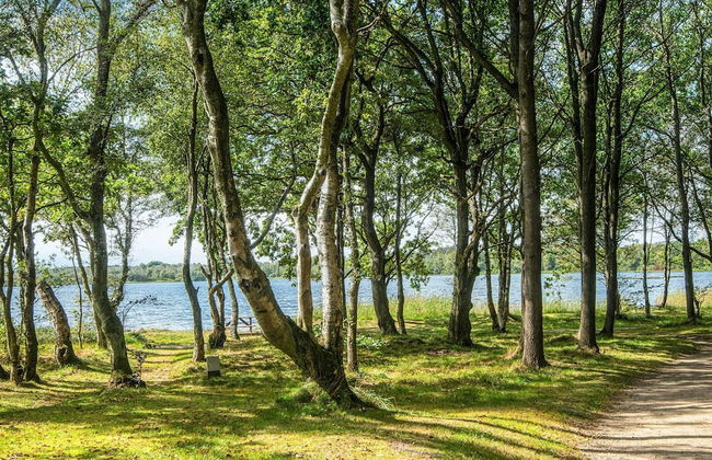 4 Star Holiday Home in Ansager - Photo 18