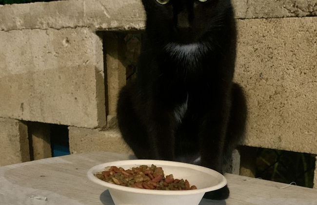 S3 BP Steps to Beach - Foto 35