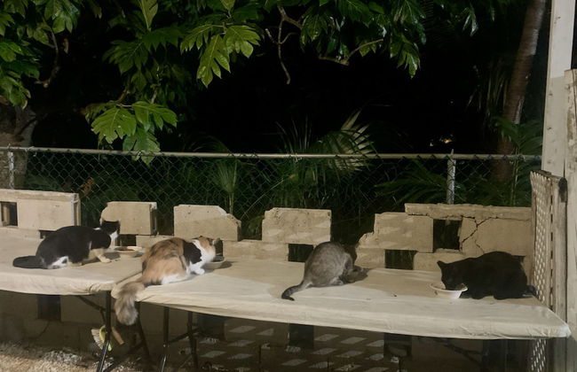 S3 BP Steps to Beach - Foto 37