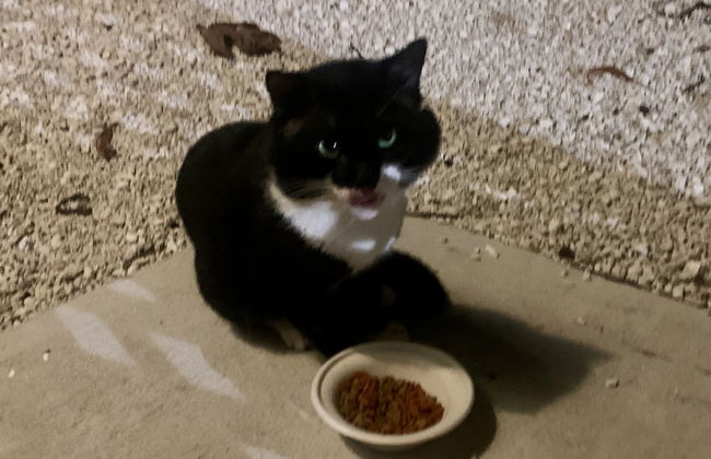 S3 BP Steps to Beach - Foto 36