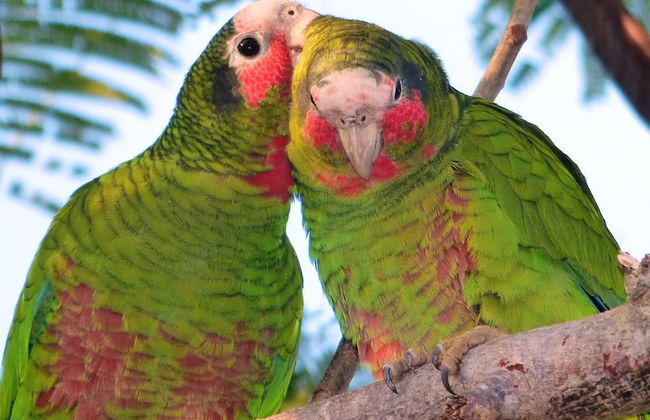 S3 BP Steps to Beach - Foto 42