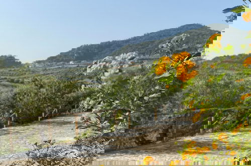 Photo 46 - Agrolea Rodí Milici