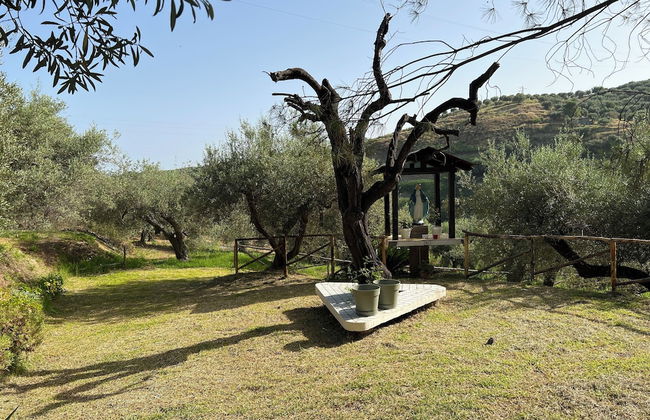 Agrolea Rodí Milici - Foto 49