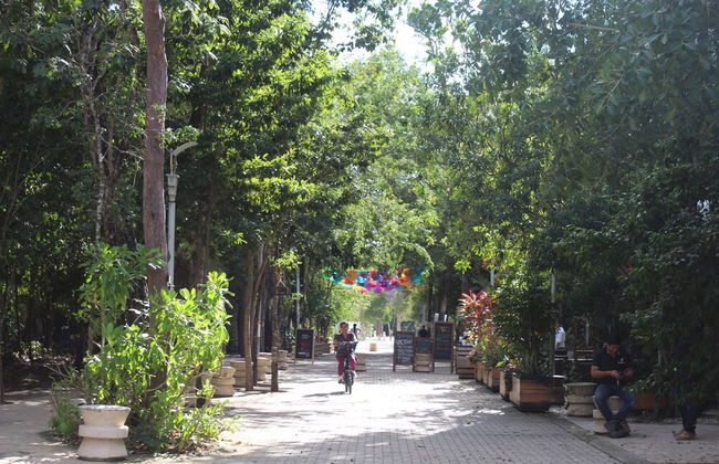 Calea Tulum - Foto 79
