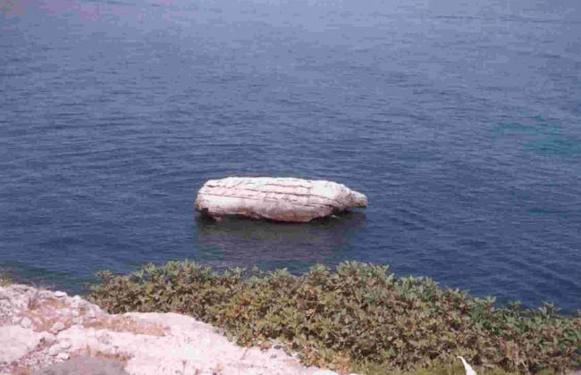 Apartment Type A in Costa Saracena - Castelluccio - Foto 13