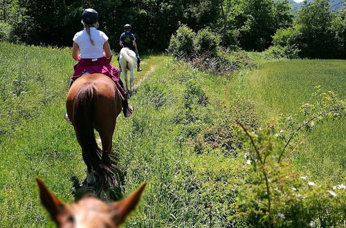 Photo 22 - Belvilla by OYO Farmhouse With Stables, Horses