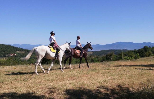 Farmhouse With Stables, Horses and the Ability to Make Horseback Riding - Foto 66