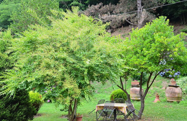 Podere Campofossato - Foto 47