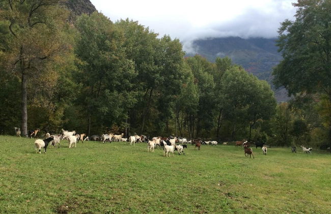 Casa Rural l'Era de Ferro - Foto 46