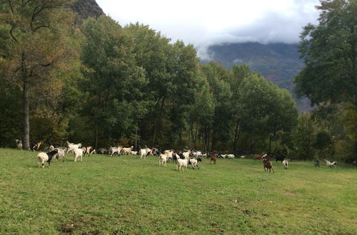 Foto 44 - Casa Rural l'Era de Ferro