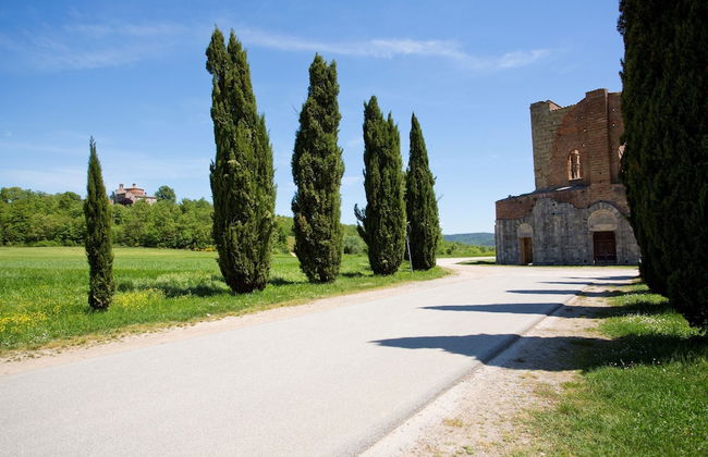 Agriturismo San Galgano - Foto 75