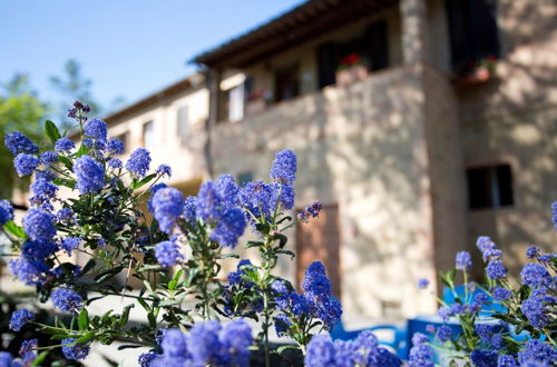 Foto 1 - Agriturismo San Galgano