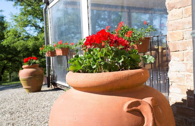 Agriturismo San Galgano - Foto 73