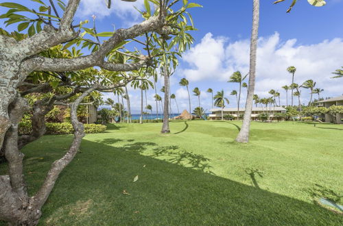 Photo 31 - Napili Shores G157 Studio Bedroom Condo by RedAwning