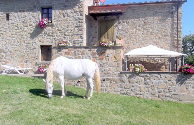 Agriturismo la Coccinella - Foto 30