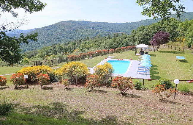Agriturismo la Coccinella - Foto 19