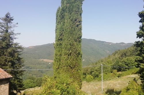 Photo 25 - Fattoria di Cintoia