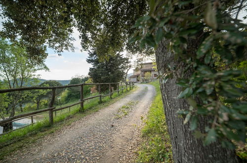 Foto 67 - Fattoria di Cintoia