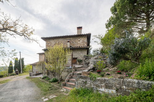 Photo 68 - Fattoria di Cintoia