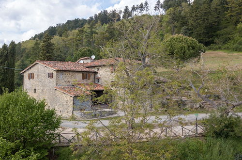 Photo 66 - Fattoria di Cintoia