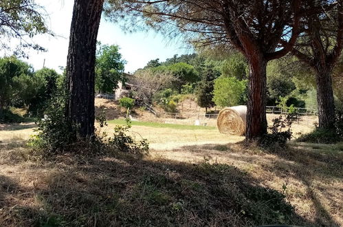 Photo 64 - Fattoria di Cintoia