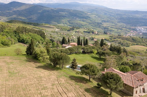 Photo 73 - Fattoria di Cintoia