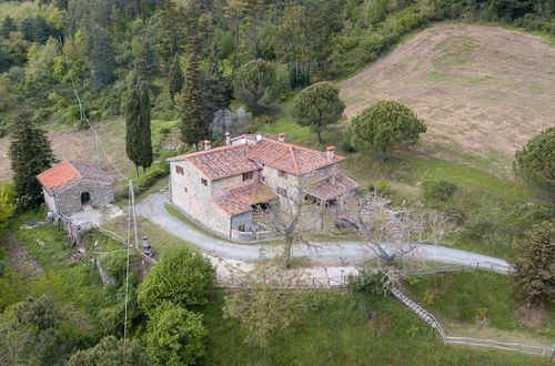 Foto 51 - Fattoria di Cintoia