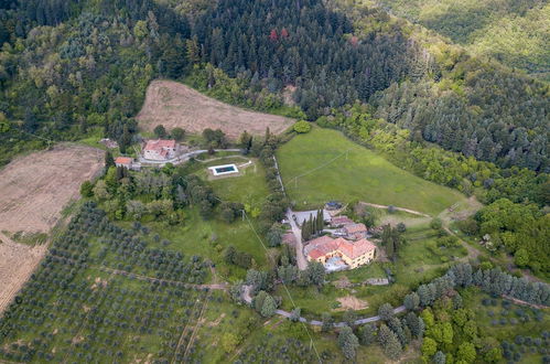 Photo 73 - Fattoria di Cintoia