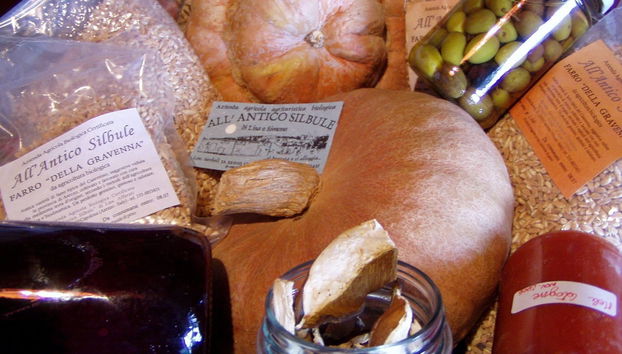 Rezeption